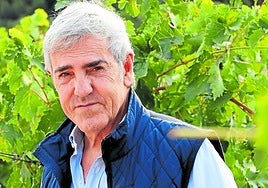 El bodeguero José Moro, entre viña.