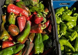 El vínculo entre los alimentos vegetales y la disfunción eréctil