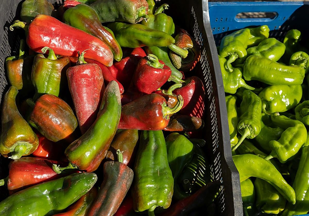 El vínculo entre los alimentos vegetales y la disfunción eréctil