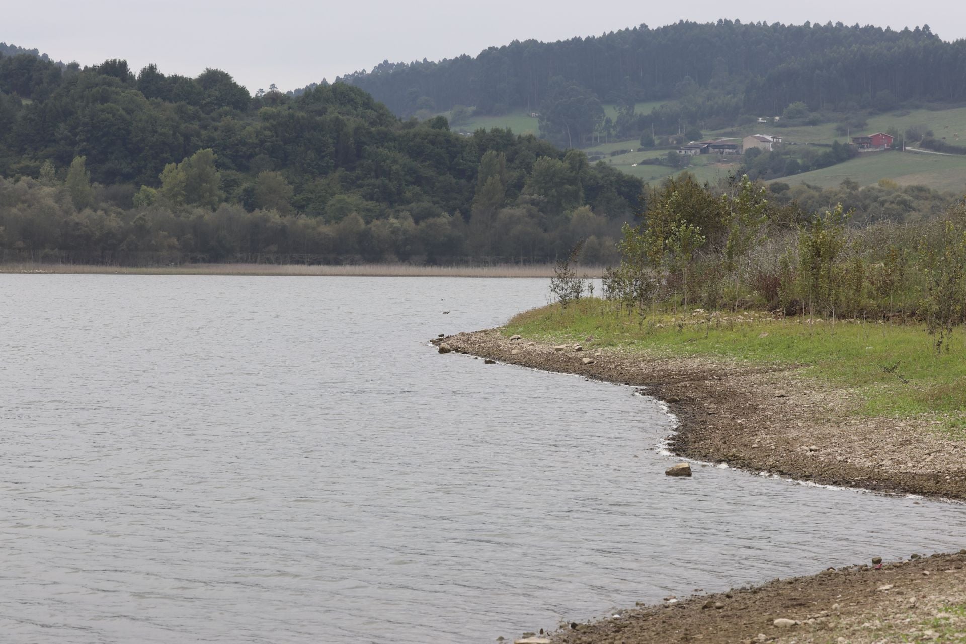 Incendio en el Monte Areo: el fuego arrasa varias hectáreas de vegetación