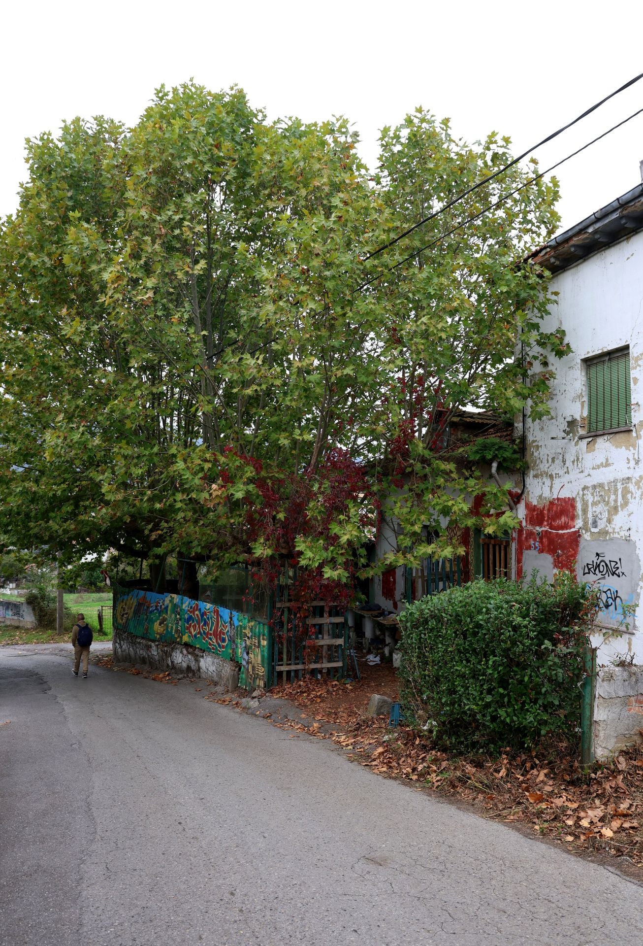 Basura acumulada, colillas, jeringuillas: el estado del barrio de La Tenderina, en Oviedo, donde hallaron el cuerpo de un joven