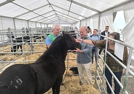 Venta Cueli en La Felguera, este sábado.