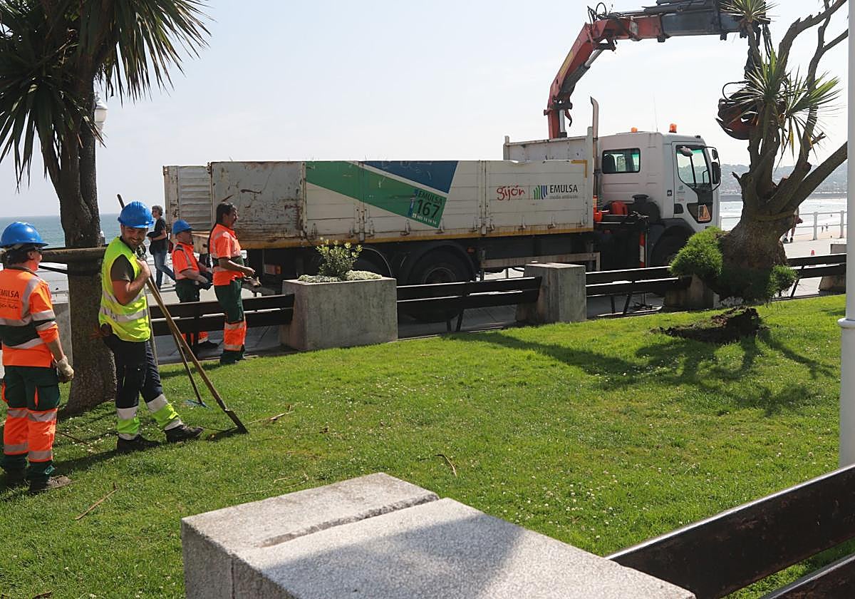 Operarios de Emulsa, en el Muro de San Lorenzo.