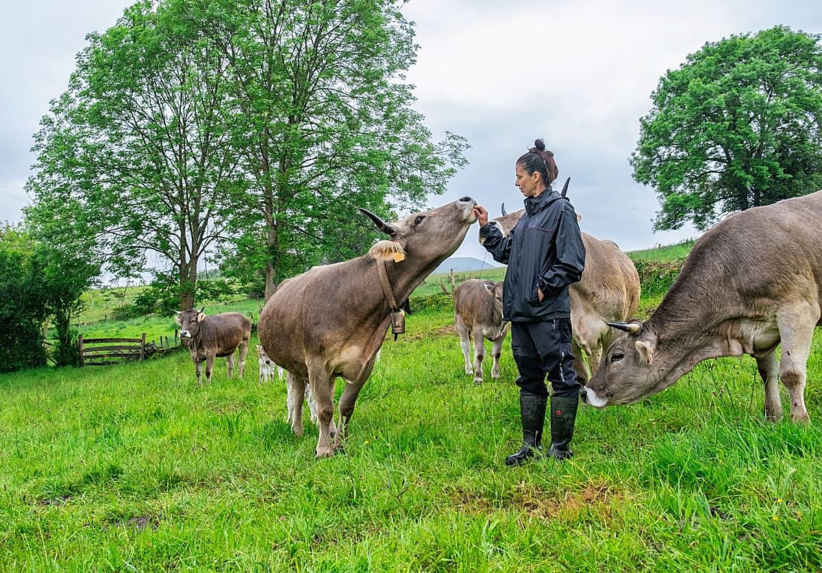 La ganadería extensiva siempre ha sido una seña de identidad en Asturias.