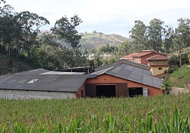 Muere un trabajador avilesino al caerse de un tejado en una ganadería en Gozón