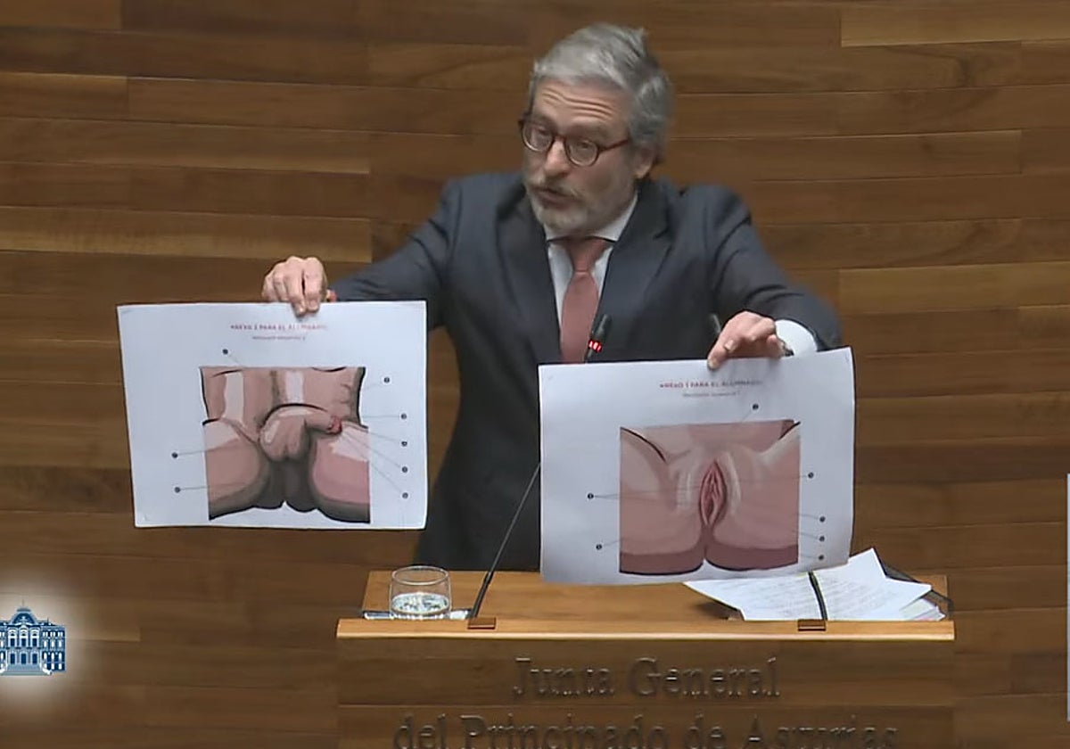 Jové, durante su intervención en el último Pleno, mostrando las ilustraciones de los genitales.
