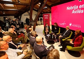 Presentación del proyecto de la Nebrija en Avilés.