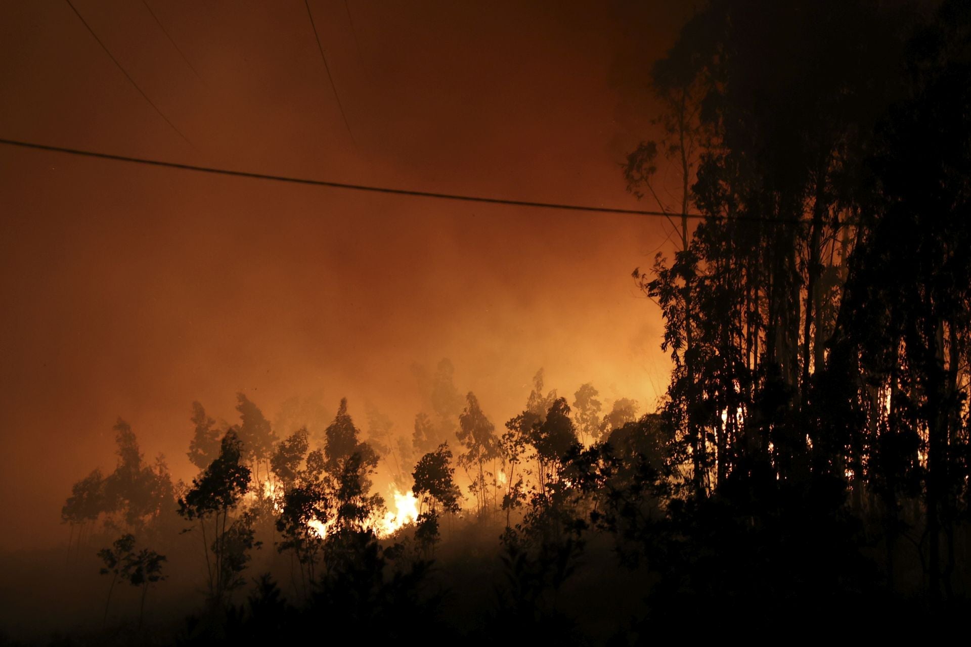 Vecinos desalojados y olor a quemado en todo Gijón: las imágenes del fuego en el Monte Areo