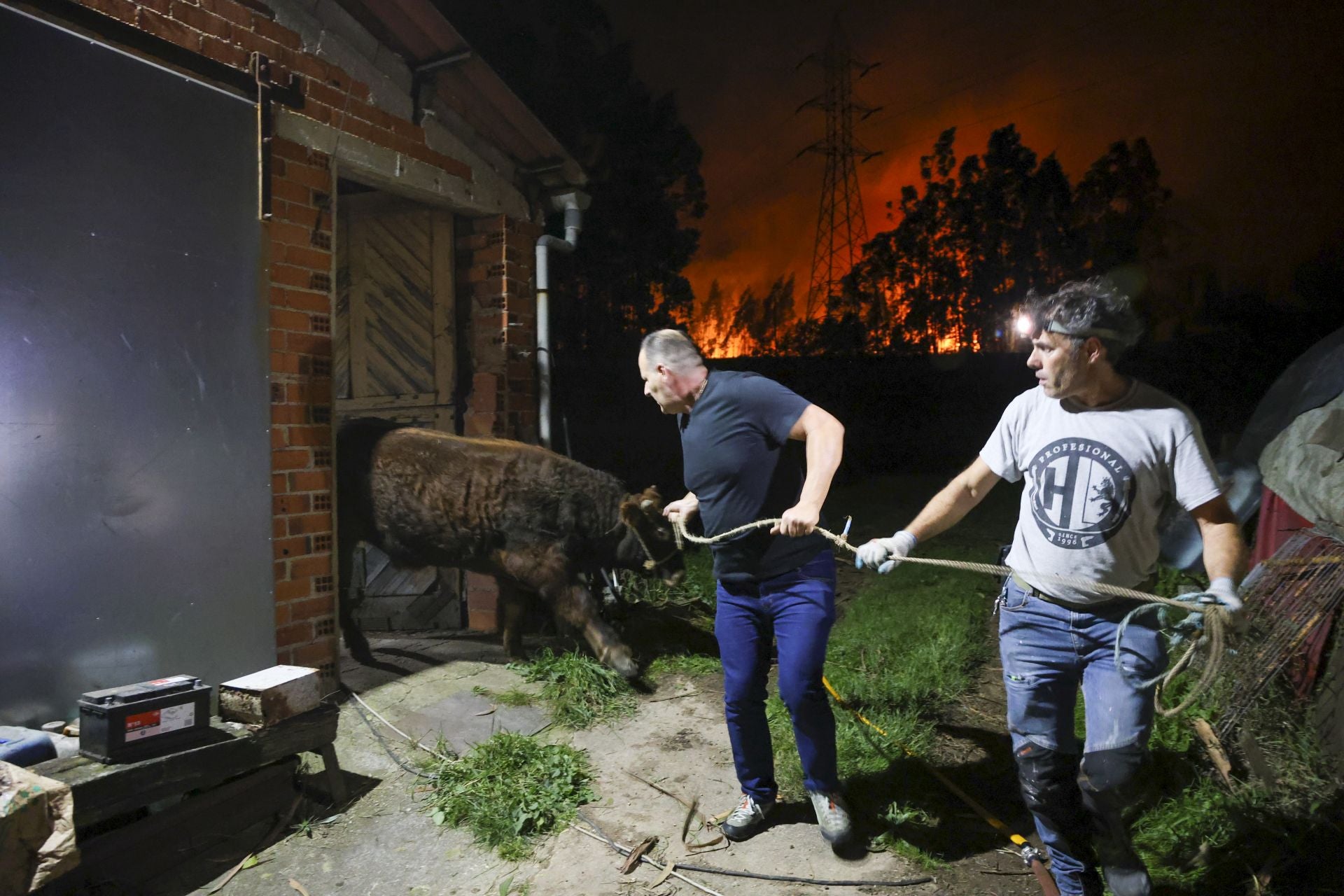 Vecinos desalojados y olor a quemado en todo Gijón: las imágenes del fuego en el Monte Areo