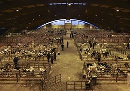 Mercado Nacional de Ganados de Pola de Siero.