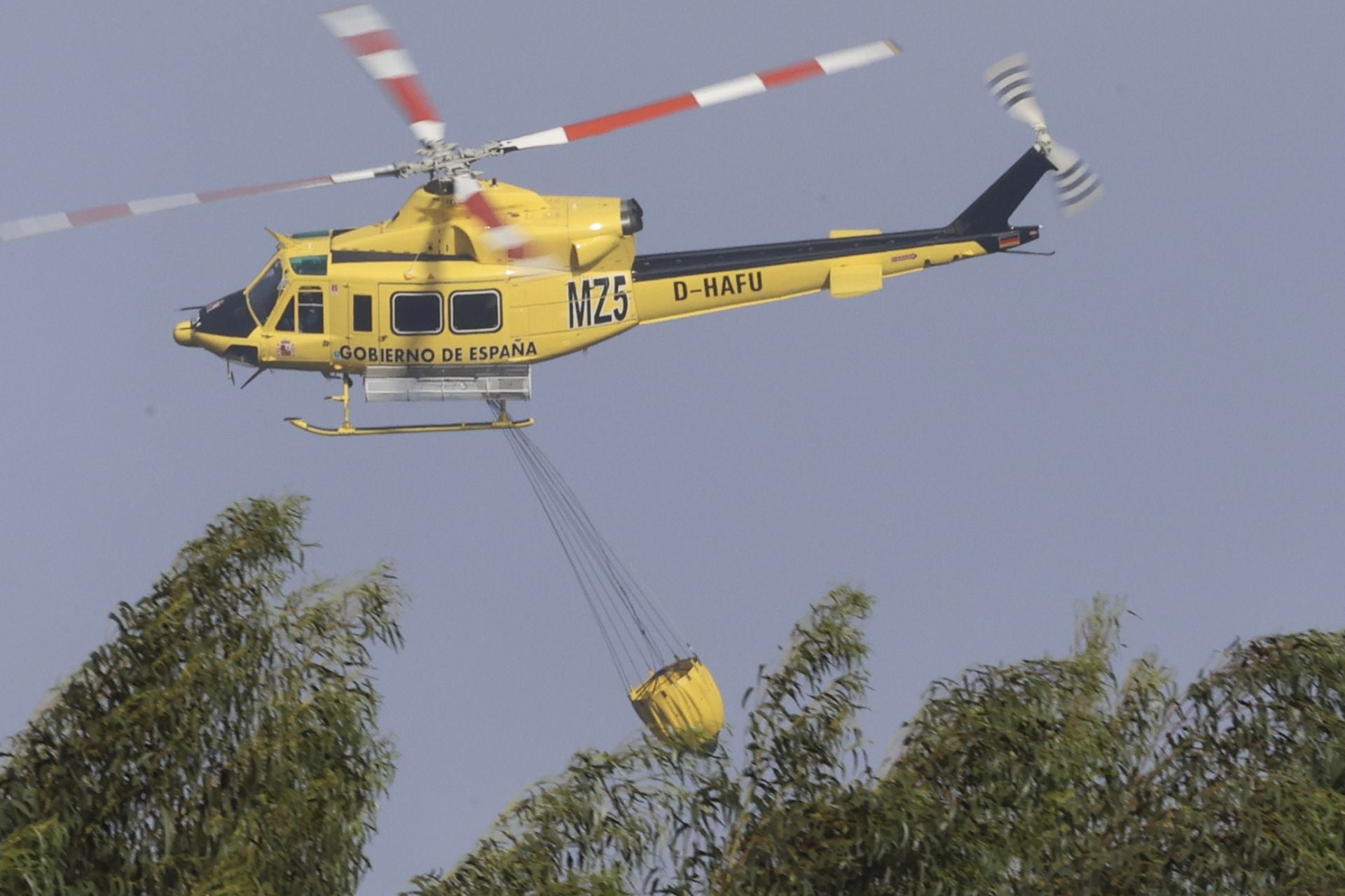 Así amaneció el Monte Areo, en Gijón: las desoladoras imágenes que deja el incendio