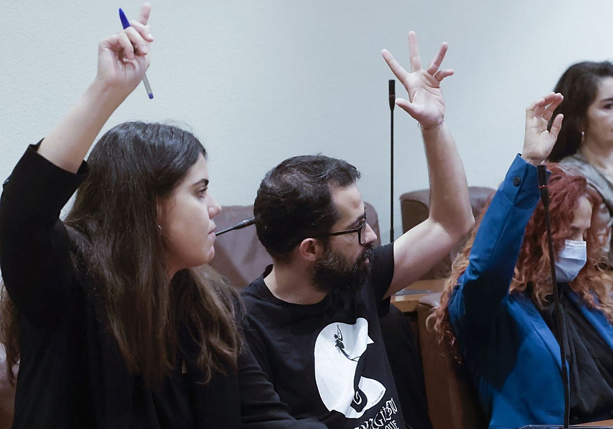 La edil de Hacienda, la socialista Raquel Ruiz, junto al David García, portavoz municipal de Podemos Avilés, en un Pleno.