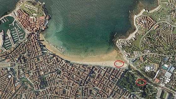 Un cementerio de animales en la playa de San Lorenzo