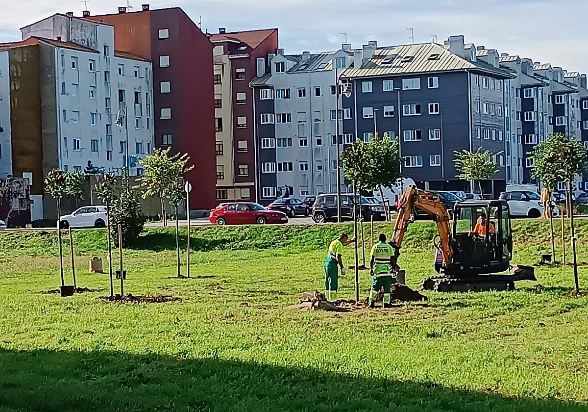 Plantación de árboles en la zona de La Barquerina.