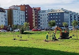 Plantación de árboles en la zona de La Barquerina.