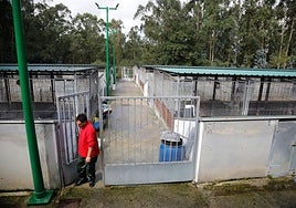 Instalaciones del Albergue de Animales de Serín, en agosto de 2023.