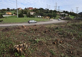 Trabajos de desbroce que ha empezado a realizar el Principado en el nudo de El Empalme.