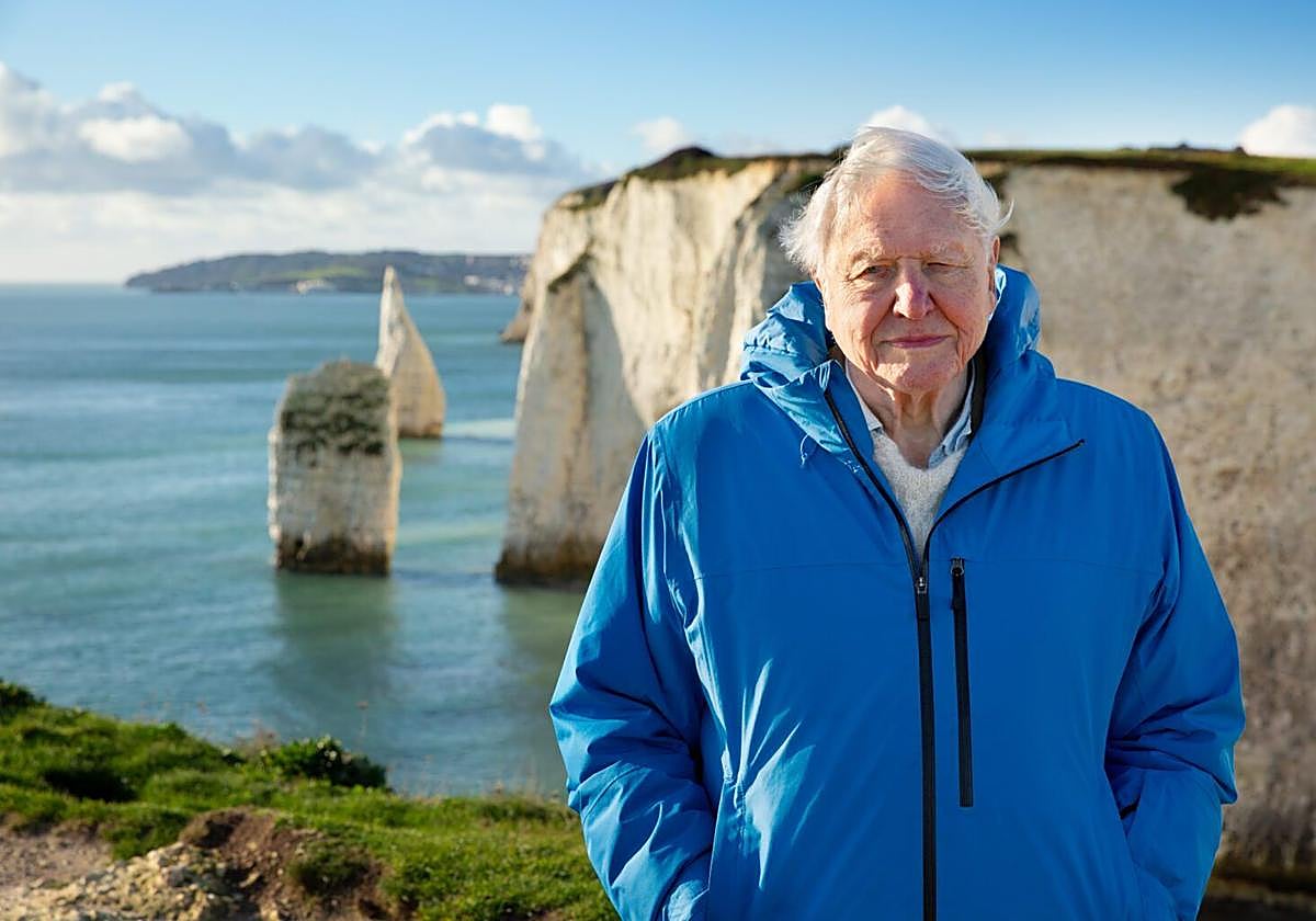 BIOPARC Acuario de Gijón trae el IV Wild Oceans FilmFest