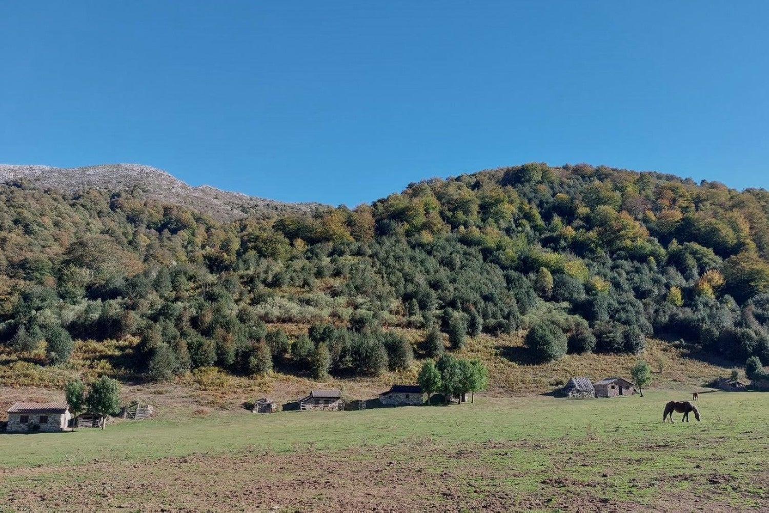 Imagen principal - Detalles de Brañagallones.