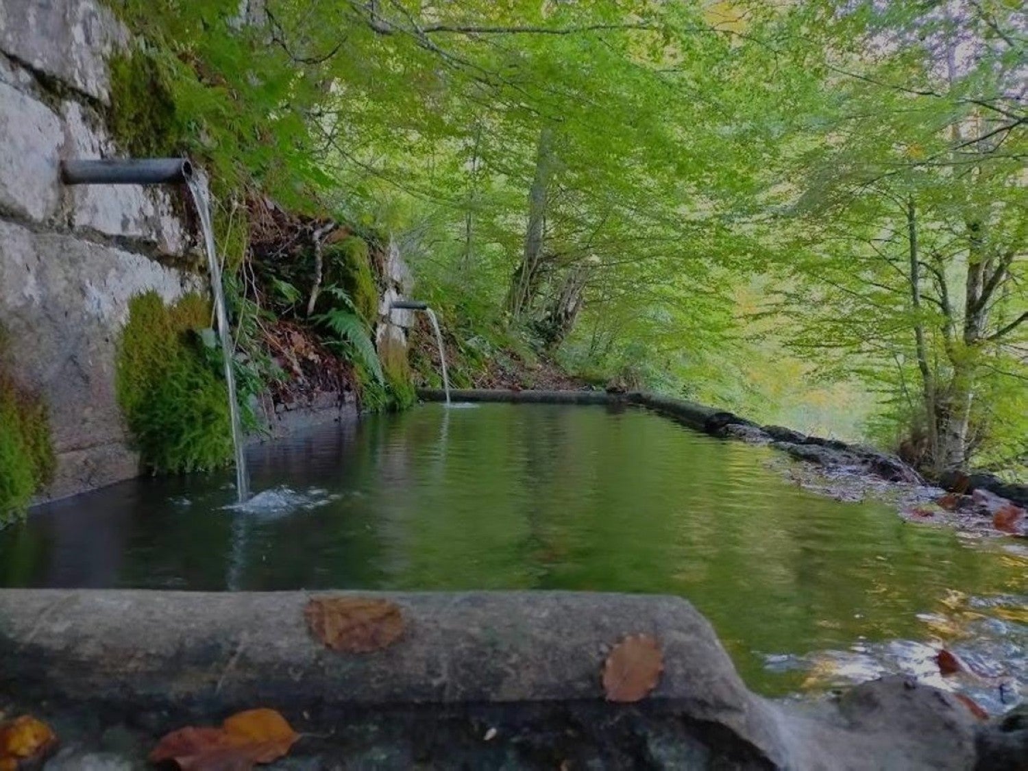 Imagen secundaria 1 - Detalles de elemantos que se van encontrando en la senda, más allá de las amplias vistas cumbreras.