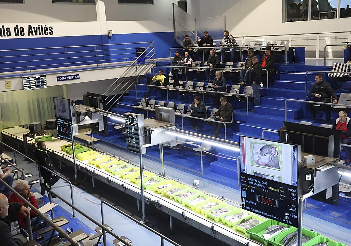 Una subasta en la lonja de Avilés.