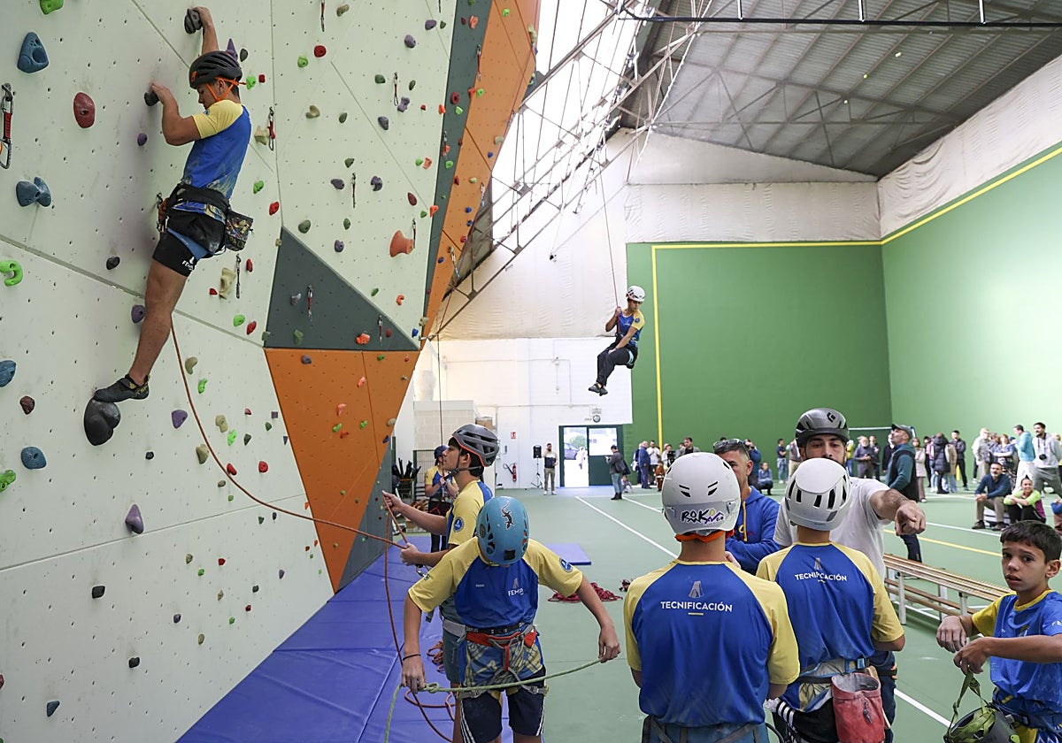 Jóvenes deportistas fueron los primeros en ascender por el nuevo rocódromo de Villaviciosa.