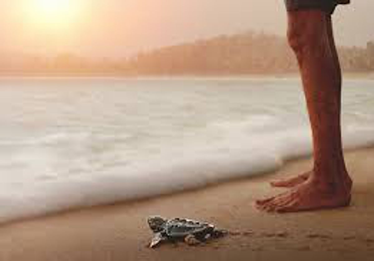 Escena de la película documental 'Turtle Walker' que abrió el festival 'Wild Oceans' en el Acuario.