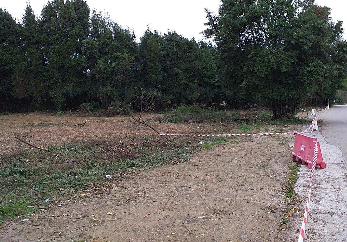 Trabajos de desbroce en la parcela donde se ubicará el nuevo aparcamiento del Hospital de Cabueñes.