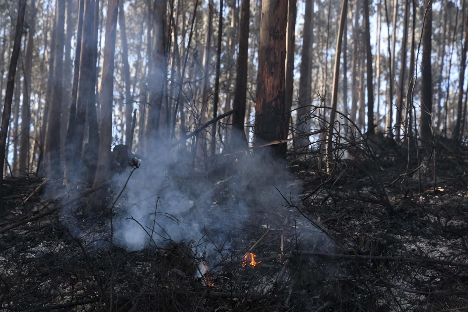El Monte Areo tras la reactivación del incendio el pasado 22 de octubre.