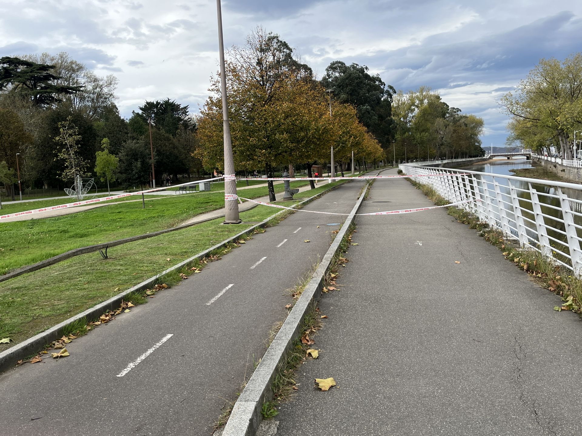 Los estragos del viento en Gijón, en imágenes