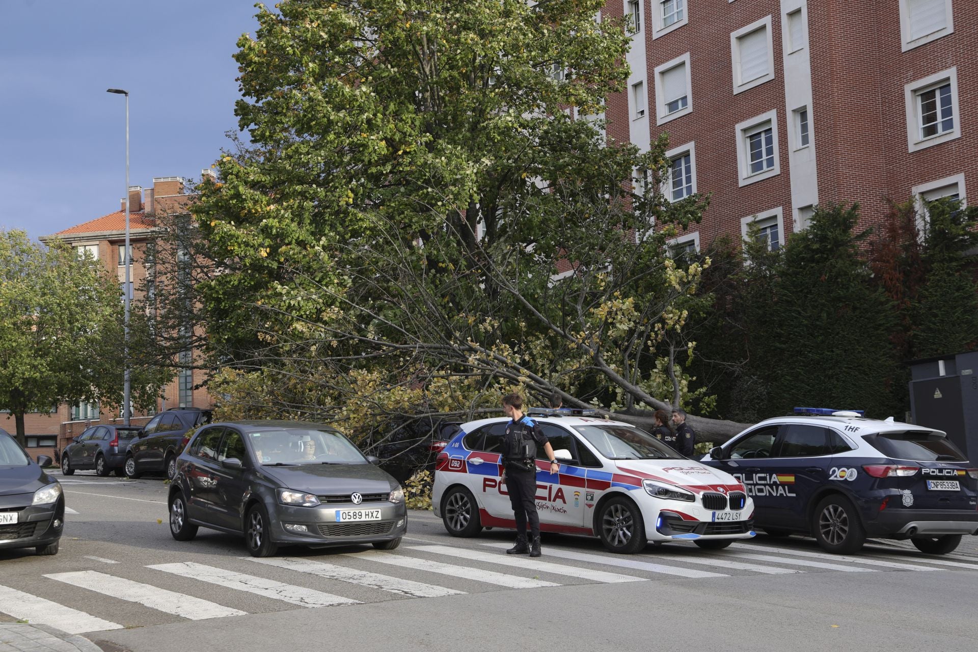 Los estragos del viento en Gijón, en imágenes