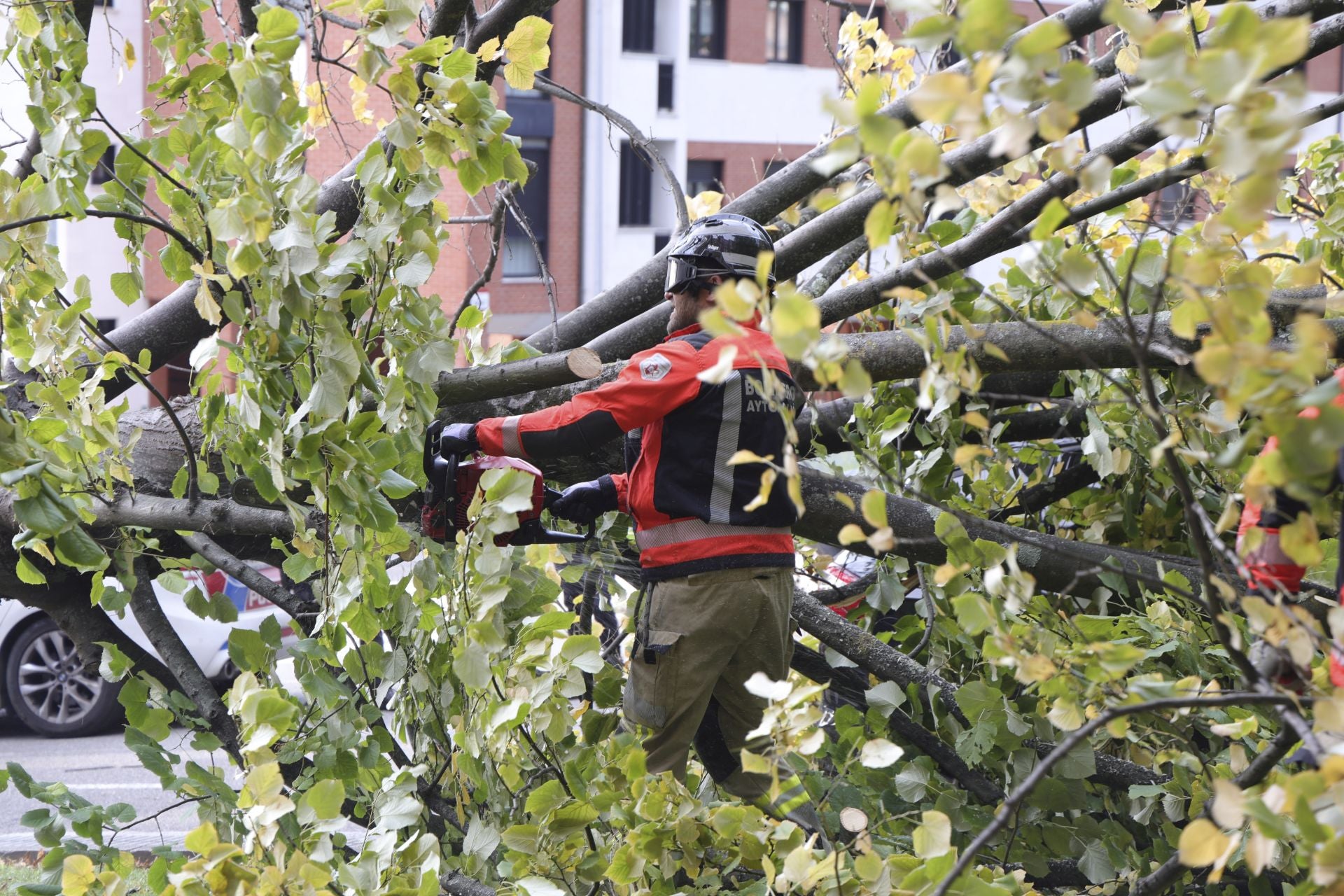 Los estragos del viento en Gijón, en imágenes