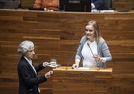 La diputada Covadonga Tomé, en la Junta General.