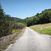 Una vista del entorno de San Pedro de Nora, donde concluirá el nuevo carril bici.