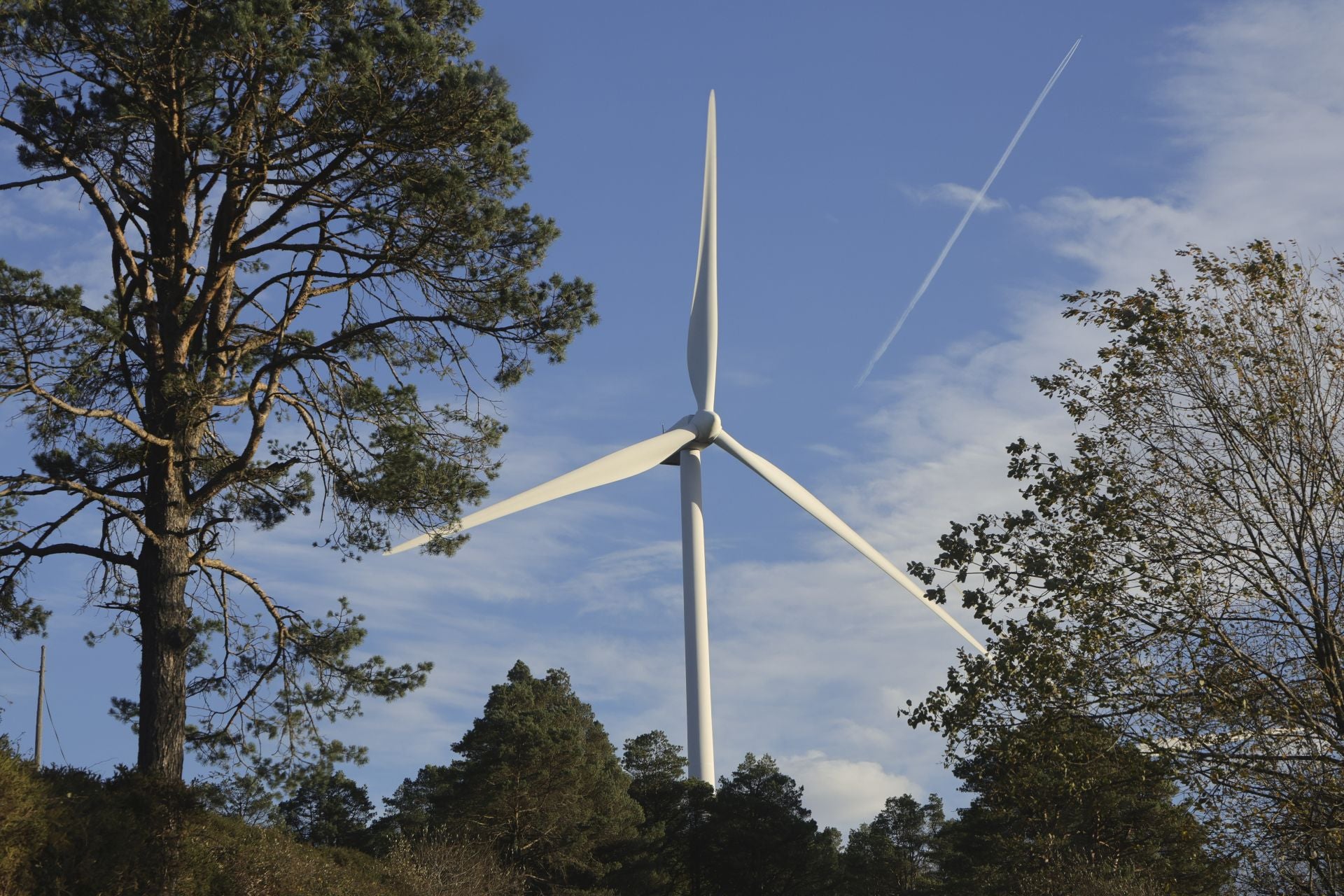 Tomasín, en paradero desconocido: las imágenes de la búsqueda en Tineo