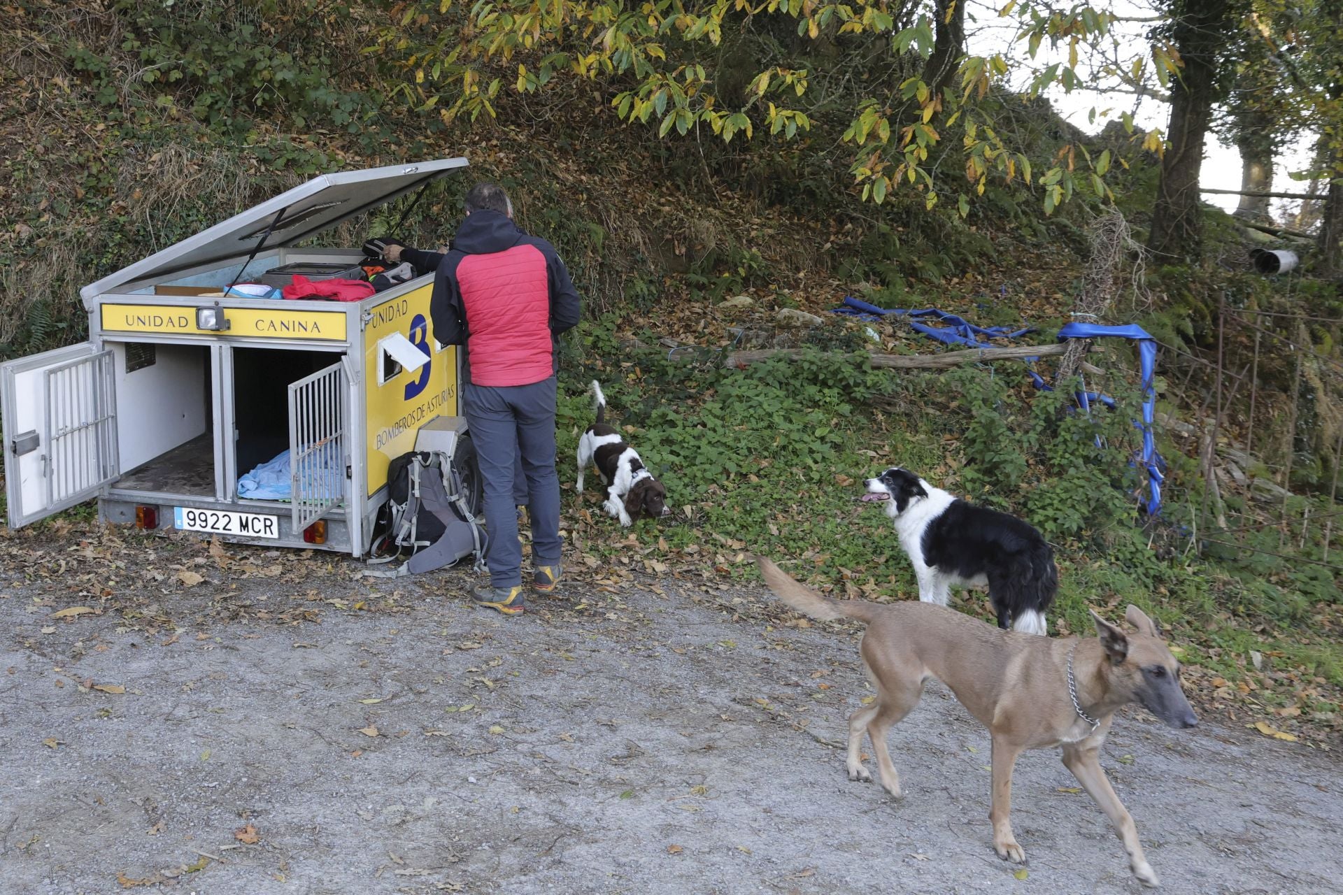 Tomasín, en paradero desconocido: las imágenes de la búsqueda en Tineo