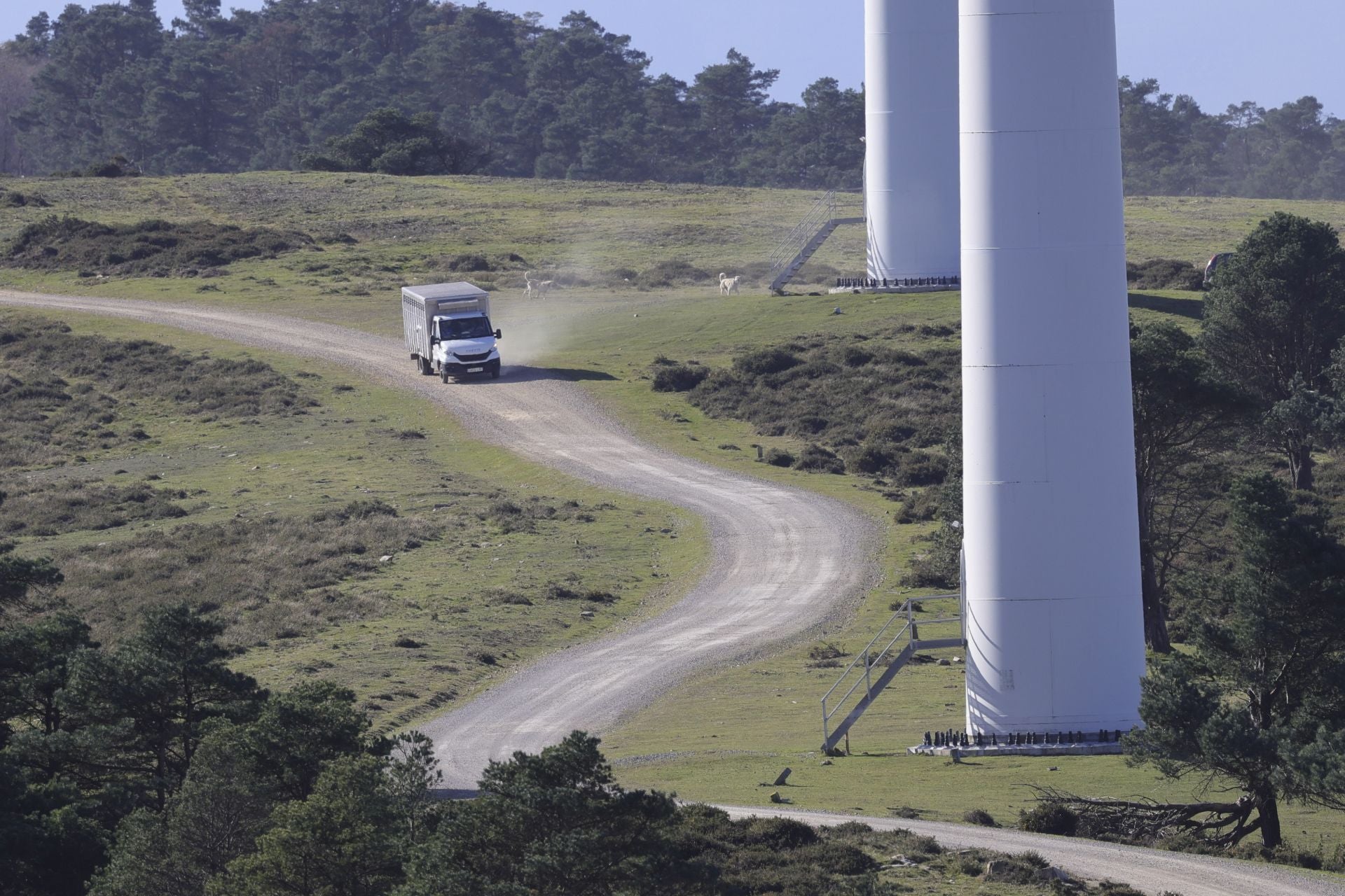 Tomasín, en paradero desconocido: las imágenes de la búsqueda en Tineo