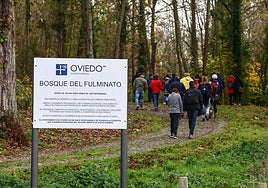 Una visita guiada al bosque del Fulminato.
