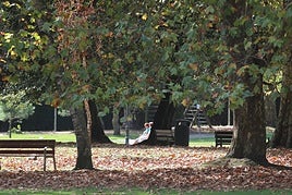 Los bancos del parque de Ferrera necesitaban desde hace tiempo una mejora que ahora se acometerá.