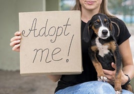 Una mujer, con su perro, sostiene un cartel que dice 'adóptame'.