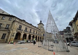El árbol ya instalado en la plaza de la Constitución.