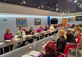 Gimena Llamedo, tercera por la izquierda, presidió la reunión del Consejo Asturiano de la Mujer.