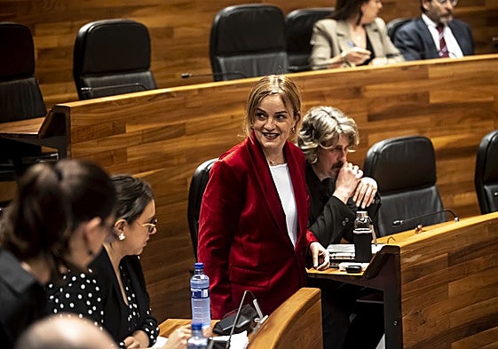 Covadonga Tomé, en un pleno en la Junta General.