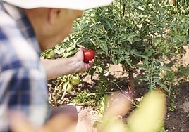 La salud mental en el sector agrario: diez recomendaciones