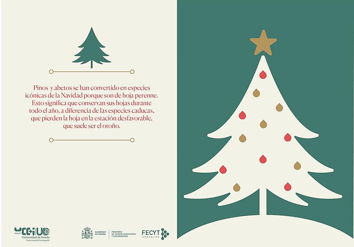 Una Navidad cargada de ciencia: postales y calendario de Adviento para felicitar las fiestas de la Universidad de Oviedo