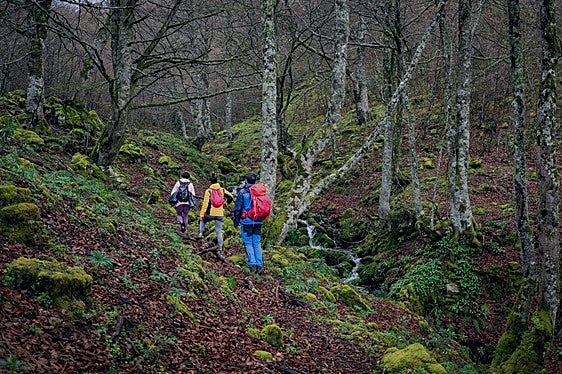 El plan es de lo más atractivo: dos días enteros para recorrer 30 kilómetros -con pernocta incluida en albergue de montaña- conociendo los mágicos territorios protegidos del Parque Natural de Redes.