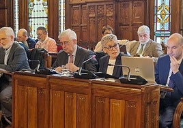 La Consejería de Salud, durante la presentación de los presupuestos en comisión parlamentaria.