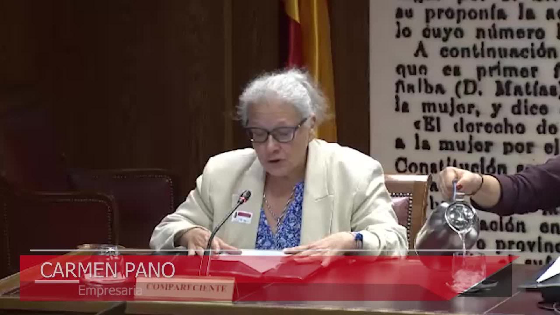 La empresaria que dijo haber entregado 90.000 euros en Ferraz no declara en el Senado