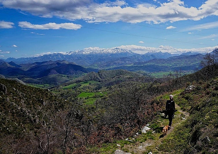 Subir al Pienzu desde Arriondas: vuelve la carrera del Sueve