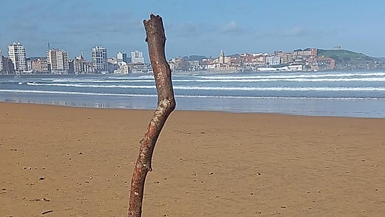 Sin dar un palo al agua